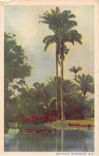 B621 Britisch Guayana Guyana Botanischer Garten Vintage Postkarte