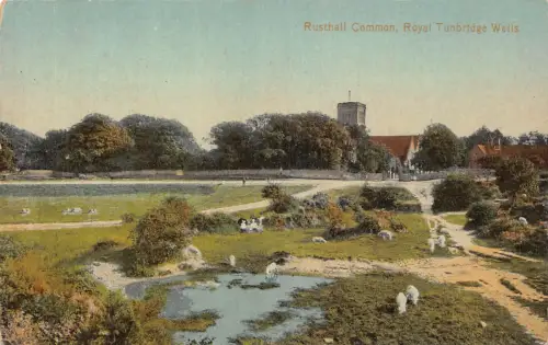 A887 England Rusthall Common Royal Tunbridge Wells Vintage Postkarte