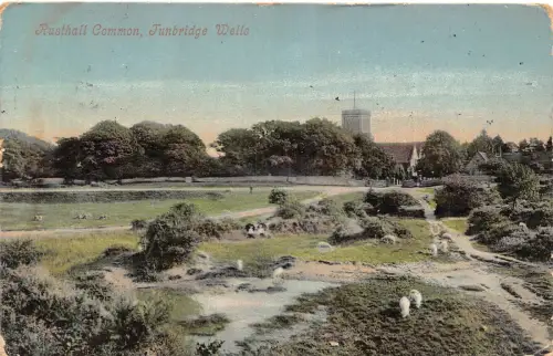 A887 England 1905 Rusthall Common Tunbridge Wells Vintage Postkarte