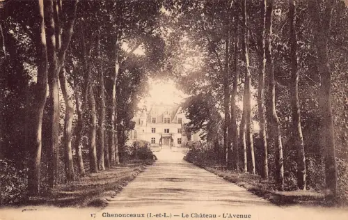 C011 Frankreich, Chenonceaux Le Chateau Vintage Postkarte
