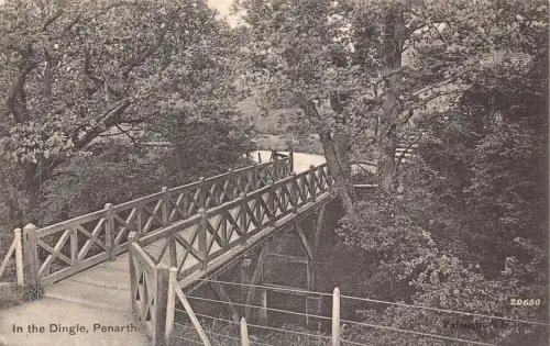 A058 Wales 1904 Im Dingle Penarth Holzbrücke Wald Vintage Postkarte