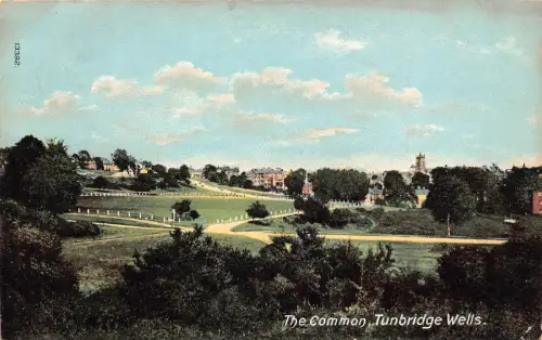 A889 England 1913 The Common Tunbridge Wells Postkarte