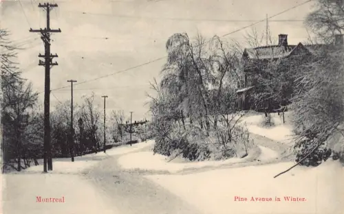 A892 Kanada Montreal Pine Avenue im Winter Vintage Postkarte