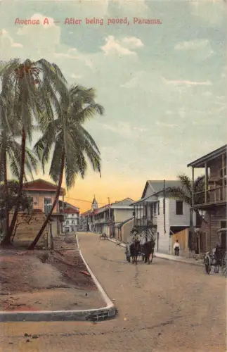 L334 Panama Avenue A nach asphaltierter Kutsche Palmenstraße Vintage Postkarte