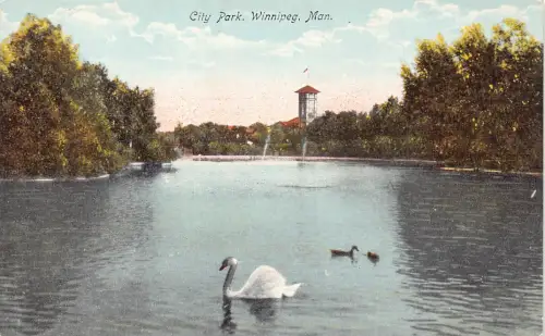 A900 Kanada Stadtpark Winnipeg Mann Schwanensee Vintage Postkarte