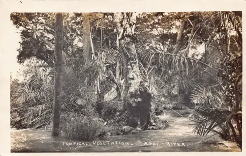 B642 Papua-Neuguinea Tropische Vegetation Athi Fluss RPPC Vintage Postkarte
