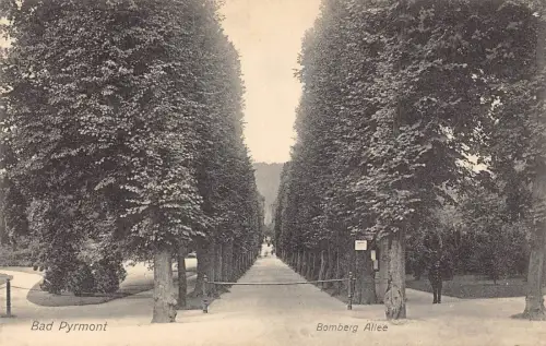 L184 Deutschland Bad Pyrmont Bomberg Allee Vintage Postkarte