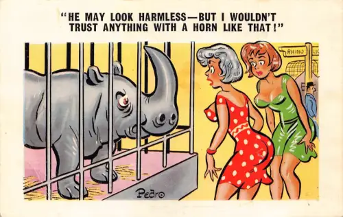 A911 Comic Humor Nashorn im Käfig Frauen Er mag harmlos Horn aussehen wie Postkarte