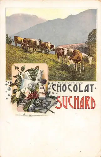 Werbung Schokolade Suchard Schweiz Auf der Alp Rinder Postkarte B979