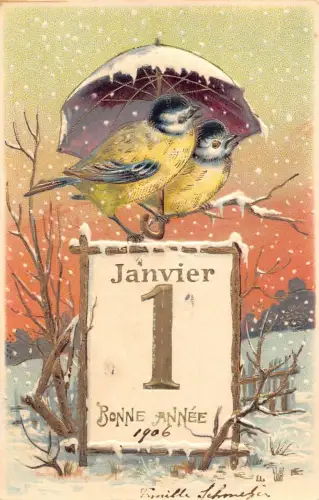 L180 Neujahrsgrüße Vögel unter Regenschirm geprägte Postkarte