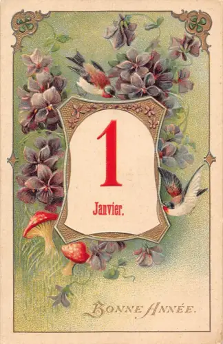 L180 Neujahrsgrüße 1907 Vögel Blumen Pilze Glück geprägte Postkarte