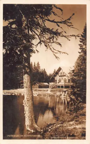 L181 Deutschland Arbersee im Böhmerwalde Waldsee Vintage Postkarte