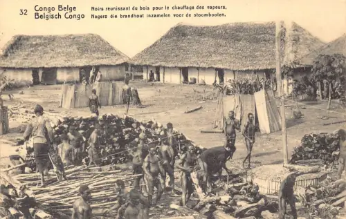 Belgisch-Kongo Ureinwohner sammeln Holz zum Heizen von Dampfern ethnische Postkarte B981