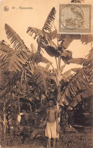 Belgisch-Kongo 1911 Bananenbaum Bananer Ureinwohner Junge Ethno Postkarte B984