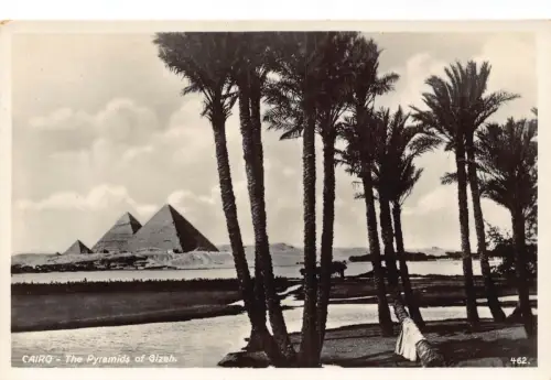B662 Ägypten Kairo Pyramiden von Gizeh RPPC Vintage Postkarte