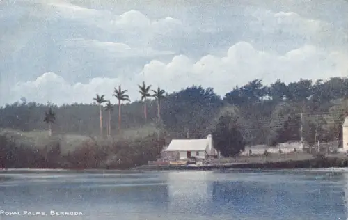 B661 Bermuda Royal Palms Vintage Postkarte