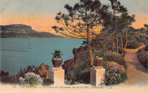 C20 Frankreich, Le Trays Villa Tunisienne Vintage Postkarte