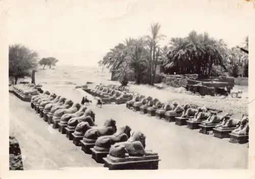B663 Ägypten Karnak Avenue of Sphinxes RPPC Vintage Postkarte