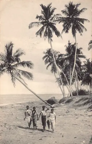 B664 Sri Lanka Ceylon Kokospalmen am Meeresufer Ureinwohner Jungen Colombo Postkarte