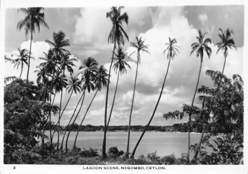 B666 Ceylon Sri Lanka 1955 Lagune Szene Negombo RPPC Vintage Postkarte