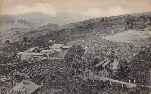 B667 Sri Lanka Ceylon Tee Nachlass Vintage Postkarte