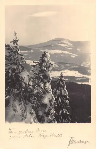 Deutschland Großer Osser Bayr Wald RPPC Vintage Postkarte C445