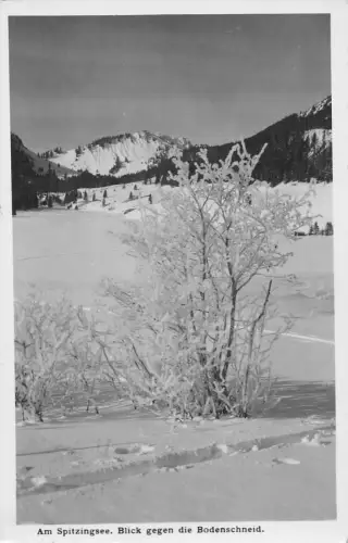 Deutschland 1933 Am Spitzingsee Blick gegen Bodenschneid RPPC Vintage Postkarte C446