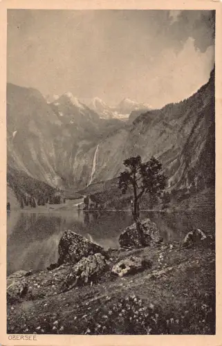 Deutschland Obersee Vintage Postkarte C445