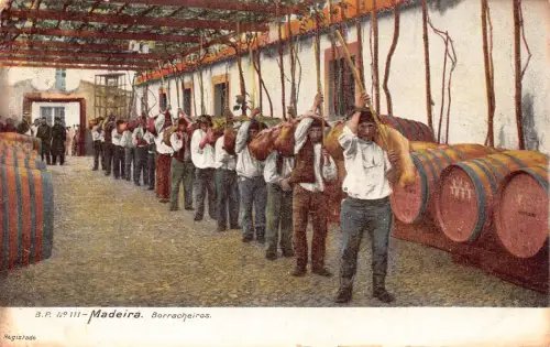 B201 Portugal Madeira Borracheiros Weinmacher Fass Vintage Postkarte