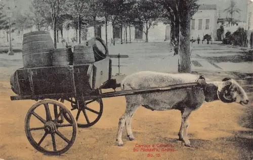 A927 Portugal St Michael Azoren Carroca e Carneiro Ziegenwagen Vintage Postkarte