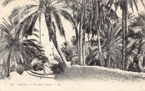 A931 Tunesien Gafsa Vue dans l'Oasis Vintage Postkarte