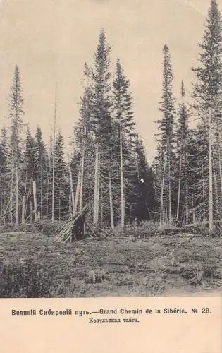 Russland Transsibirische Eisenbahn Kozulskaja Taiga Wald Nr 28 Postkarte B682