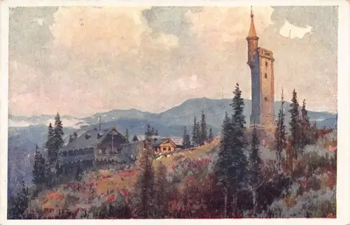 C040 Österreich, Mariazell Buergeralpe alte Postkarte