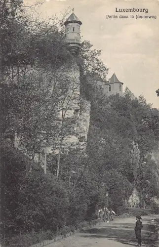 B215 Luxemburg Partie dans le Neuenweg Vintage Postkarte