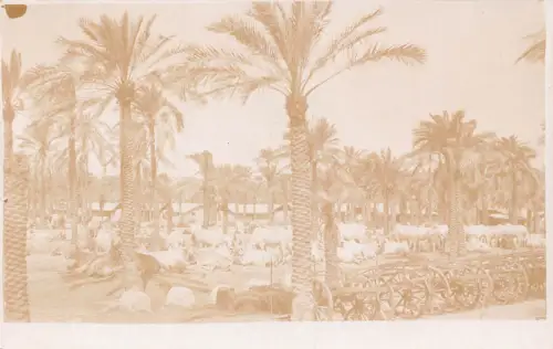 B224 Indien Ein Indianer Bulloch Waggon Park Asher RPPC Postkarte