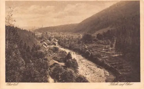 B228 Deutschland Okertal Blick auf Oker Vintage Postkarte