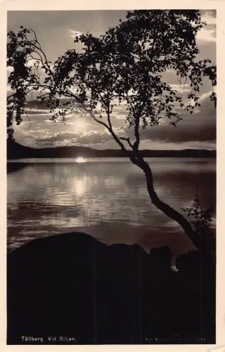 B237 Schweden Taellberg Vid Silijan Sonnenuntergang RPPC Vintage Postkarte