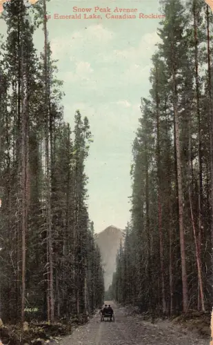 B237 Kanada Snow Peak Avenue Emerald Lake kanadische Rockies Postkarte