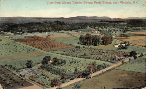 B237 Kanada Blick vom Mount Tolmie junge Obstbäume bei Victoria Postkarte