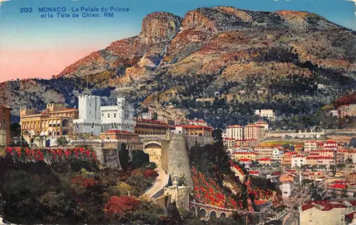 B238 Monaco Palais du Prince et Tete de Chien Vintage Postkarte