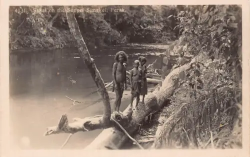 B242 Malaysia Sakai auf der Sungkei Perak Ureinwohner ethnisch RPPC Postkarte