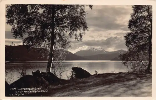 B243 Norwegen Hardangerveien Ved Samnangerfjdrden Bergensee RPPC Postkarte