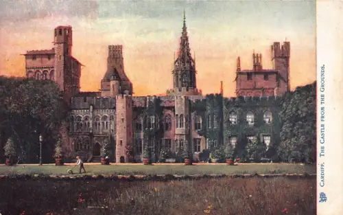 B248 Wales Cardiff Castle vom Gelände Vintage Postkarte