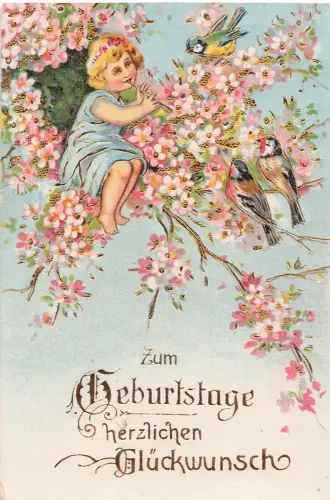 B253 Geburtstagsgrüße 1929 Singvögel Mädchen spielt Flöte Blumen Postkarte