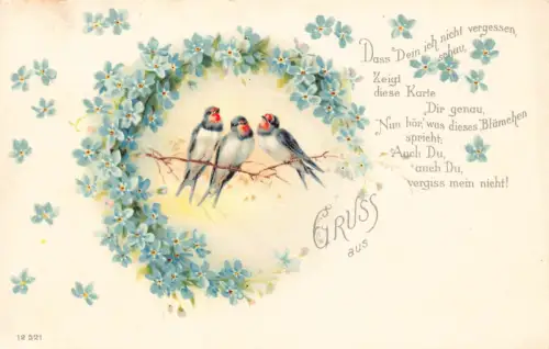 B252 Gruß Gruss aus Vergissmeinnicht Blumen Schwalben Vögel Postkarte
