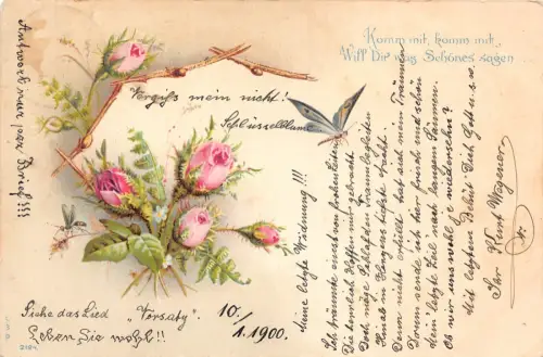 B252 Gruß 1900 Schmetterling Rosen Blumen Insekten Vintage Postkarte