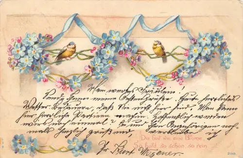 B252 Gruß 1900 Singvögel Vergissmeinnicht Blumen Band Postkarte