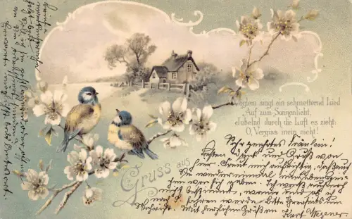B252 Gruß Gruss aus 1900 Singvögel Blumen Haus Gedicht Postkarte