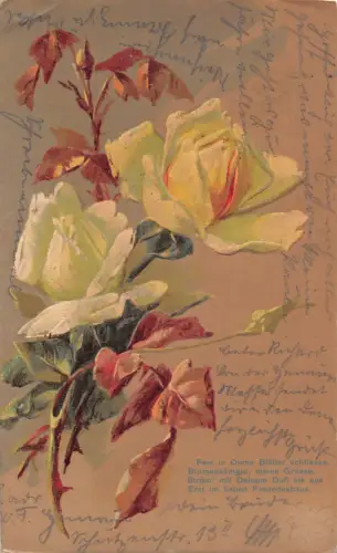 B256 Frühlingsgrüße 1904 Rosen Blumen geprägte Postkarte