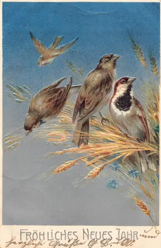 B258 Neujahrsgrüße Singvögel ruhen auf Weizenohren geprägte Postkarte